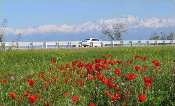 Welcome to the beautiful city of Almaty! Alla-Tau